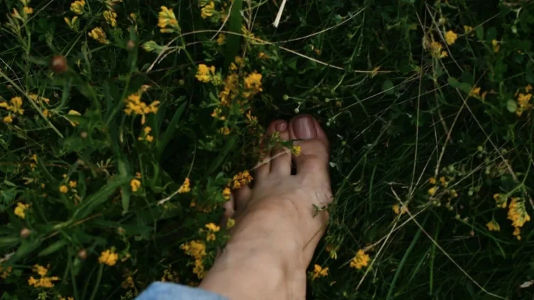 Beneficios del calzado barefoot para la salud del pie: qué dice la evidencia
